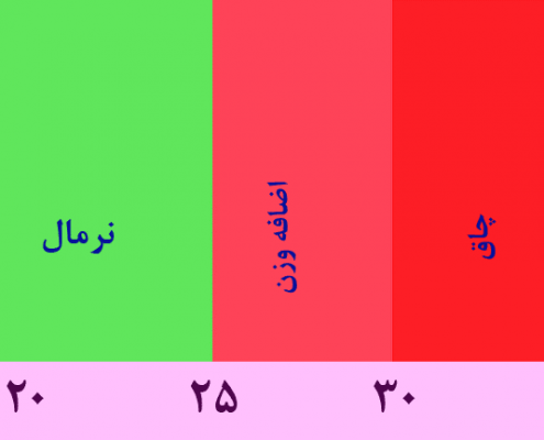 برای محاسبه شاخص توده بدنی یا bmi چه عواملی در نظر گرفته نمی ‌شود؟