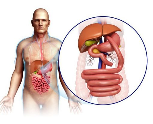 شایعه عدم جذب ویتامین بعد از عمل اسلیو معده