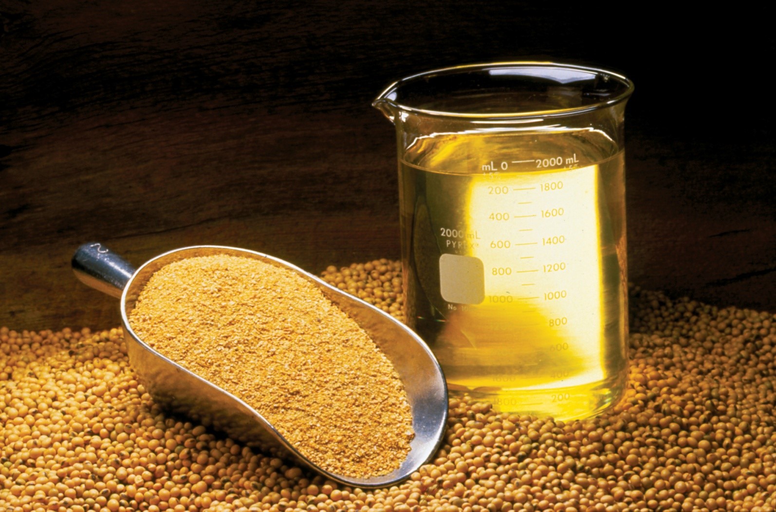 روغن سویا  (Soybean oil)