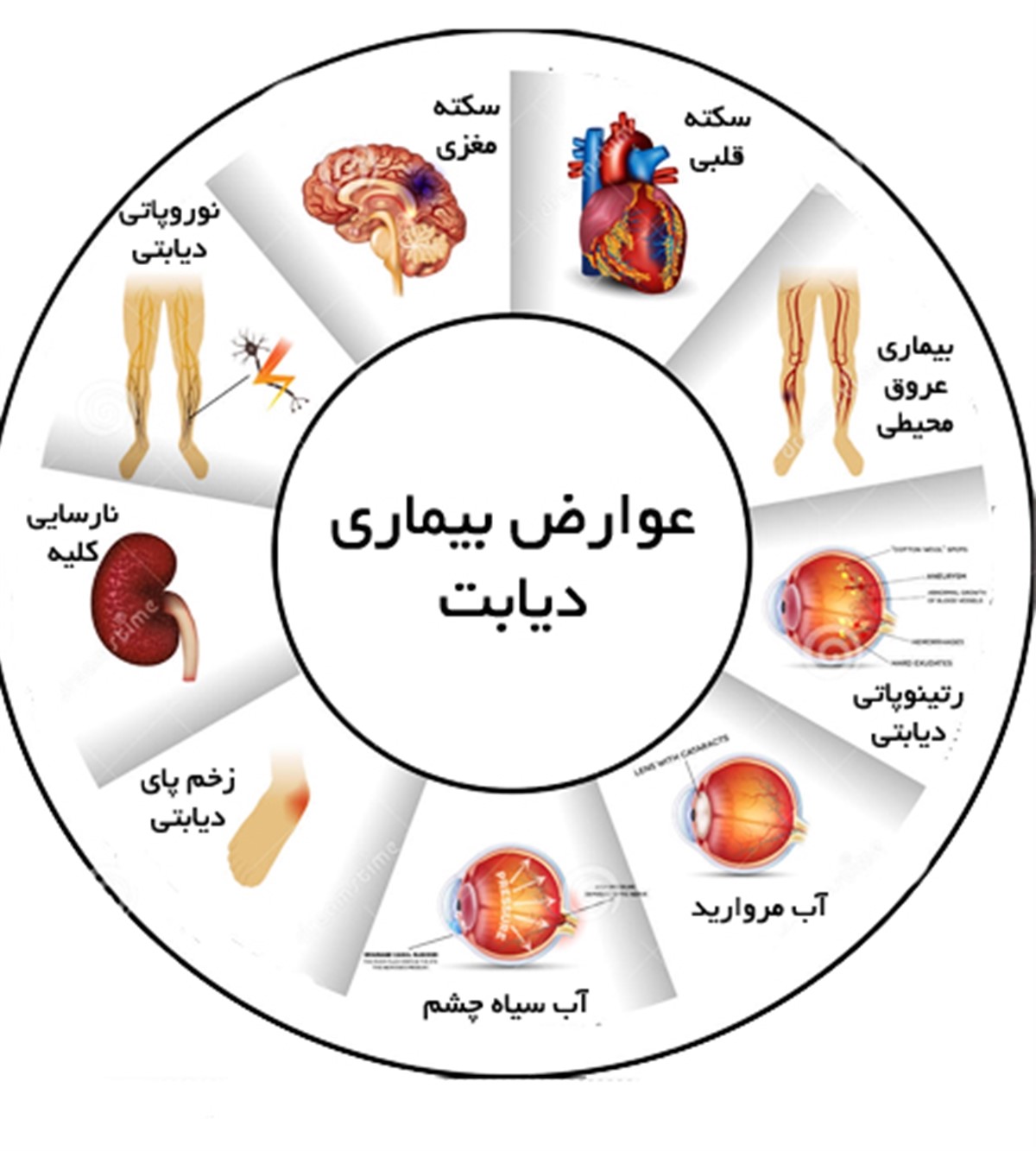 ارزیابی BUN و کراتینین