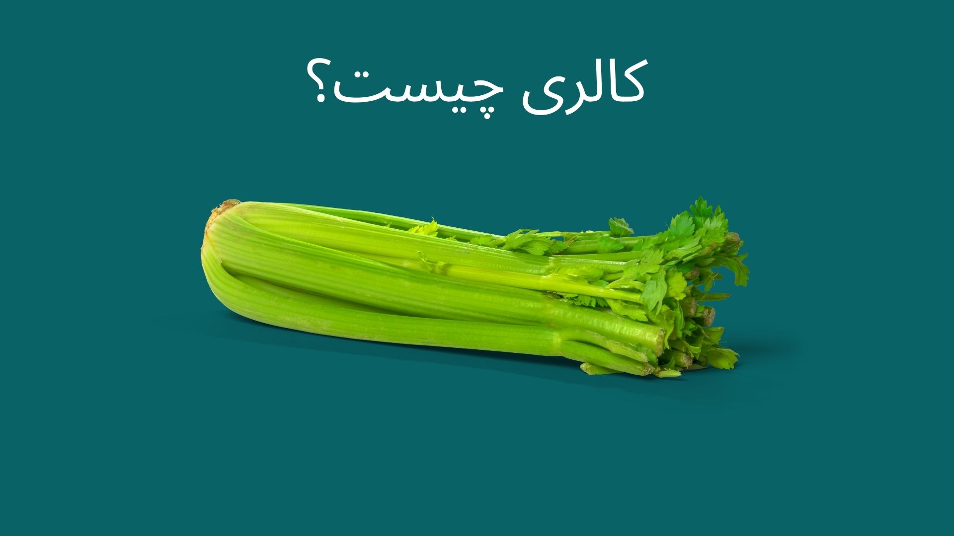 کالری چیست