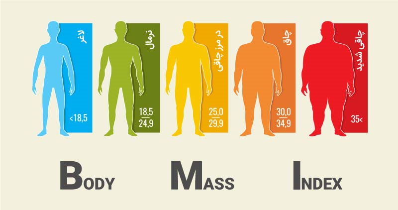 تشخیص چاقی‌ها از طریق شاخص توده بدنی