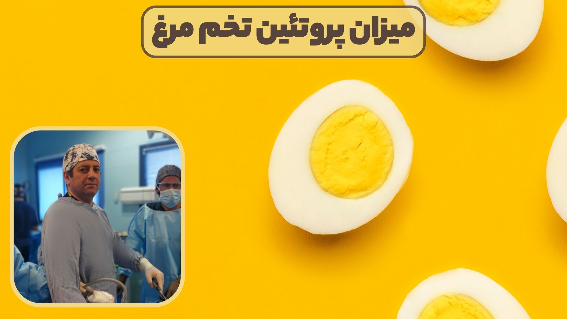 میزان پروتئین تخم مرغ