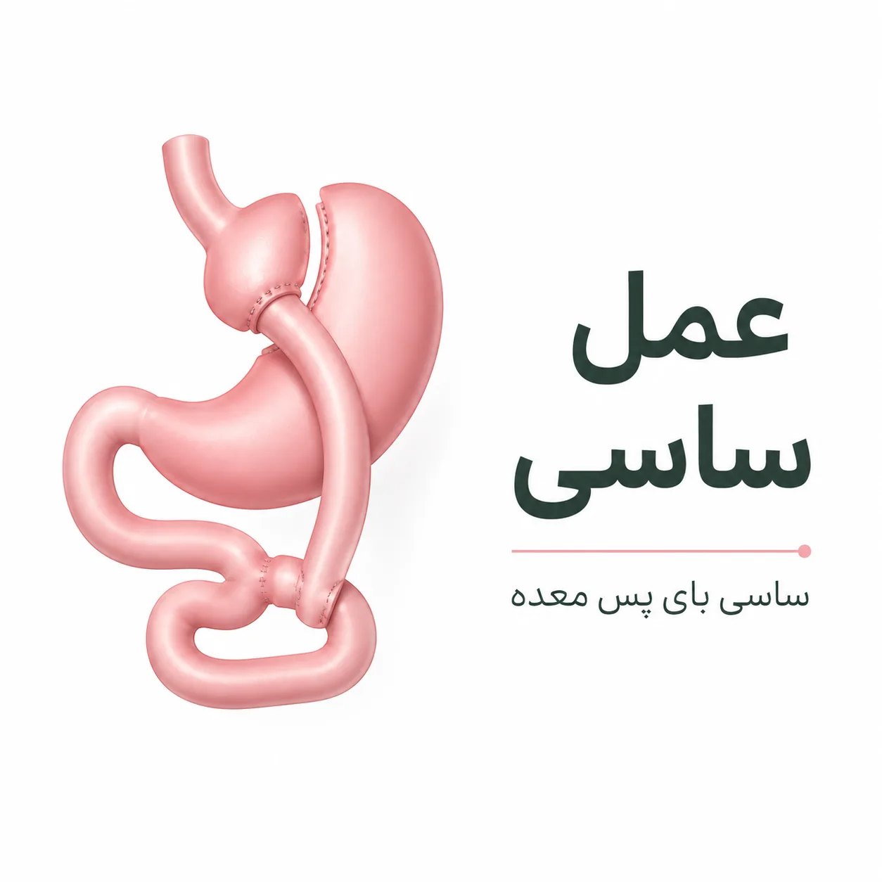 عمل ساسی
